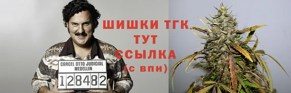 спиды Верея