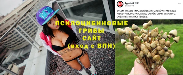 спиды Верея