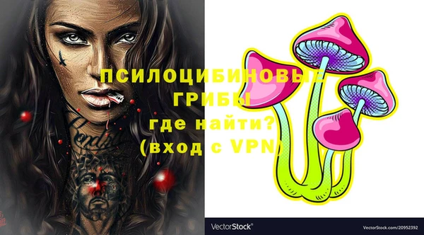спиды Верея