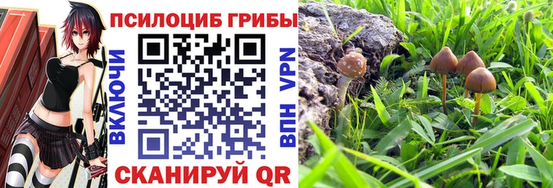 Псилоцибиновые грибы прущие грибы  Бердск 