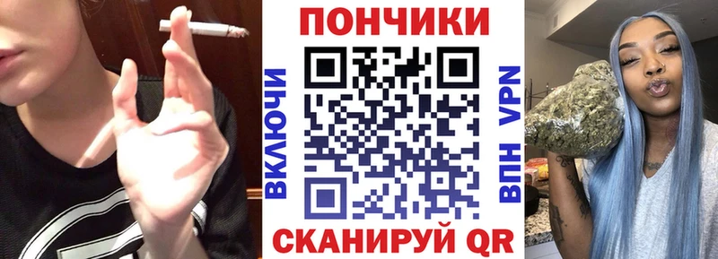 shop наркотические препараты  цены   Бердск  Марихуана индика 
